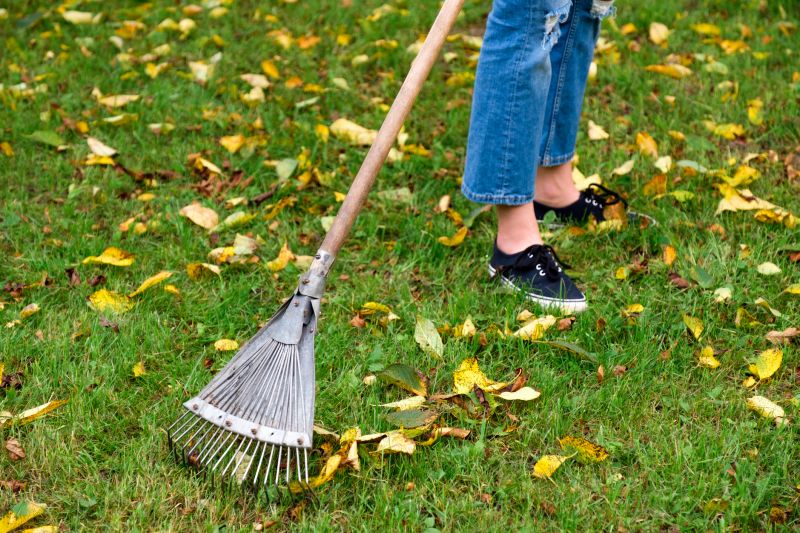Leaf Raking Service in Ventura County, CA