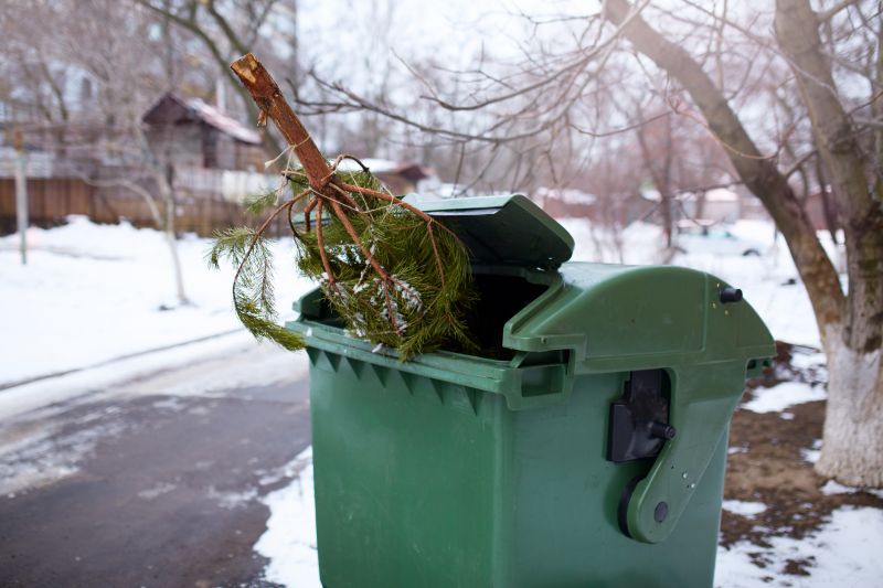 Leaf Removal in Ventura County, CA