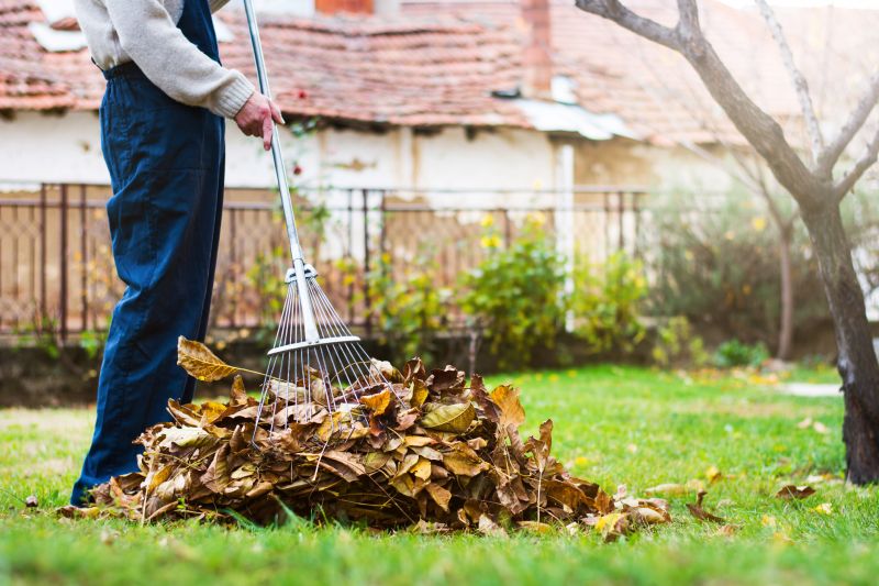 Leaves Vacuuming in Ventura County, CA
