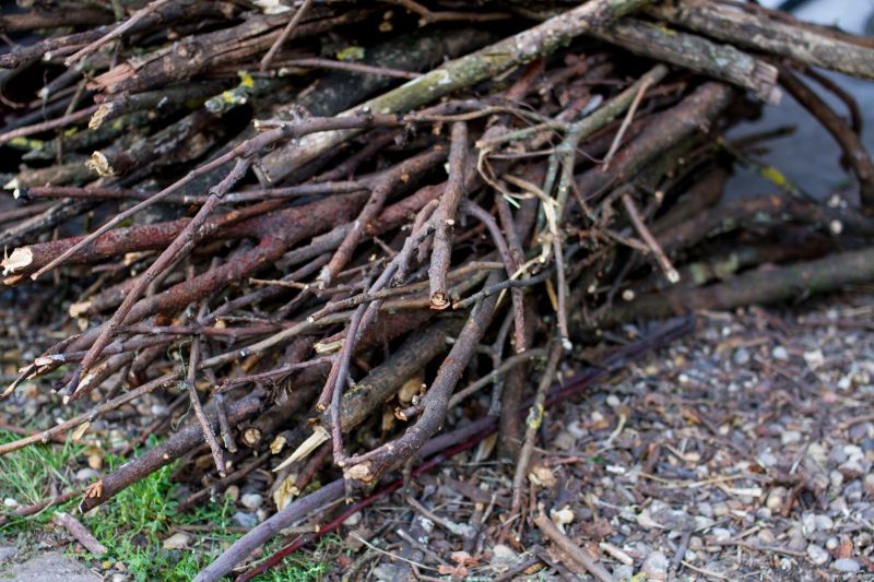 Limbs Removal in Ventura County, CA