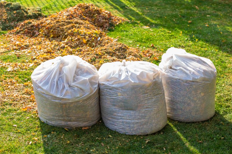 Spring Yard Clean Up Service in Honolulu, HI