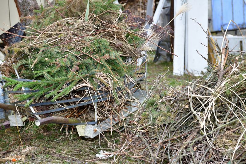 Tree Limb Cleanup in Ventura County, CA
