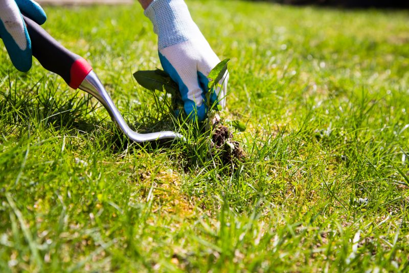 Weeds Pulling Service Cost — Cost of Weeds Pulling Service