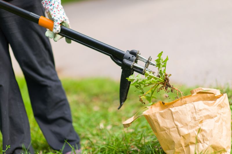 Weeds Pulling Service Cost — Cost of Weeds Pulling Service