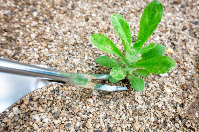 Inside of Weeds Pulling Service