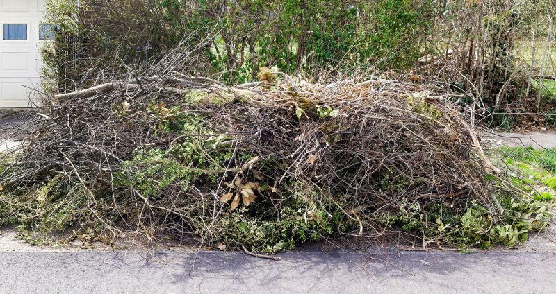 Wood Pile Removal in Honolulu, HI