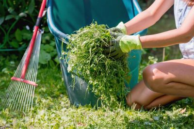 Landscaping Cleanup Service in Honolulu, HI